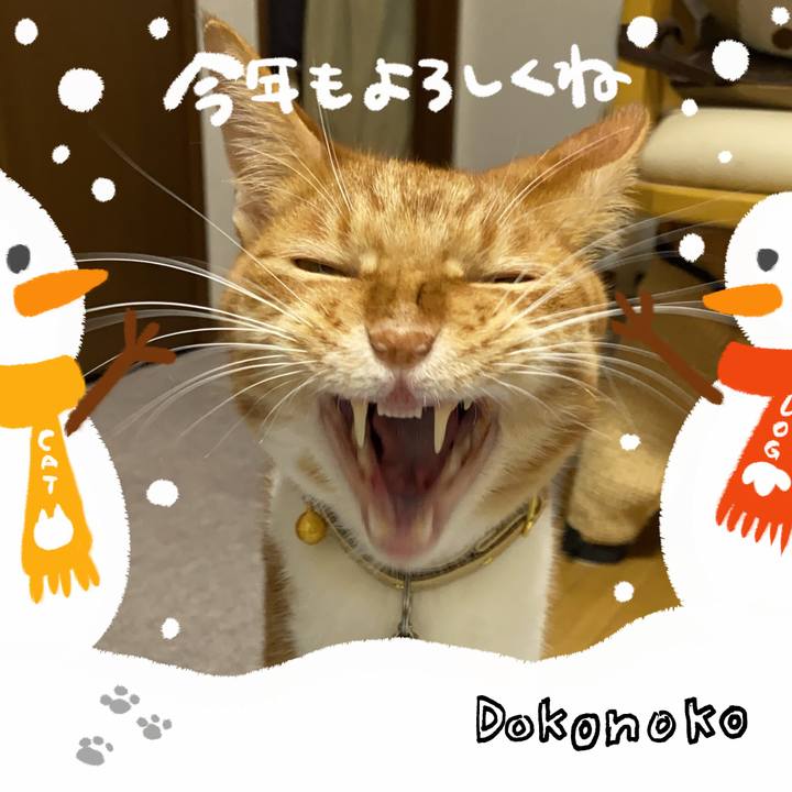 2dd388aa a600 4f48 8bdb 84f84654646c 1704457172973