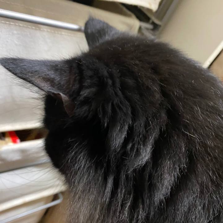 2dd39637 087b 4f30 8aee 94309f017881 1583280654777