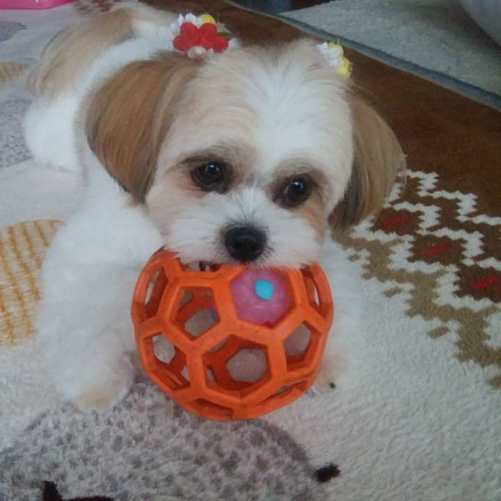 2dd3c0e0 872e 4459 8844 296742443dae 1508458111728