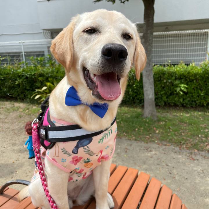 2dd3db3c ae77 4250 aed9 673beca8db9d 1622634809051