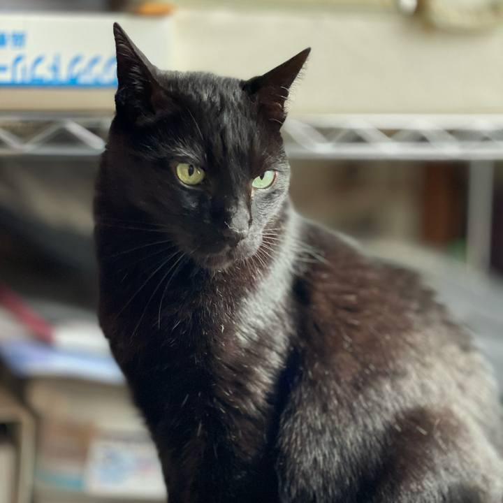 2dd3f3c0 6c85 4173 b6ed 3054a2849881 1622167020377