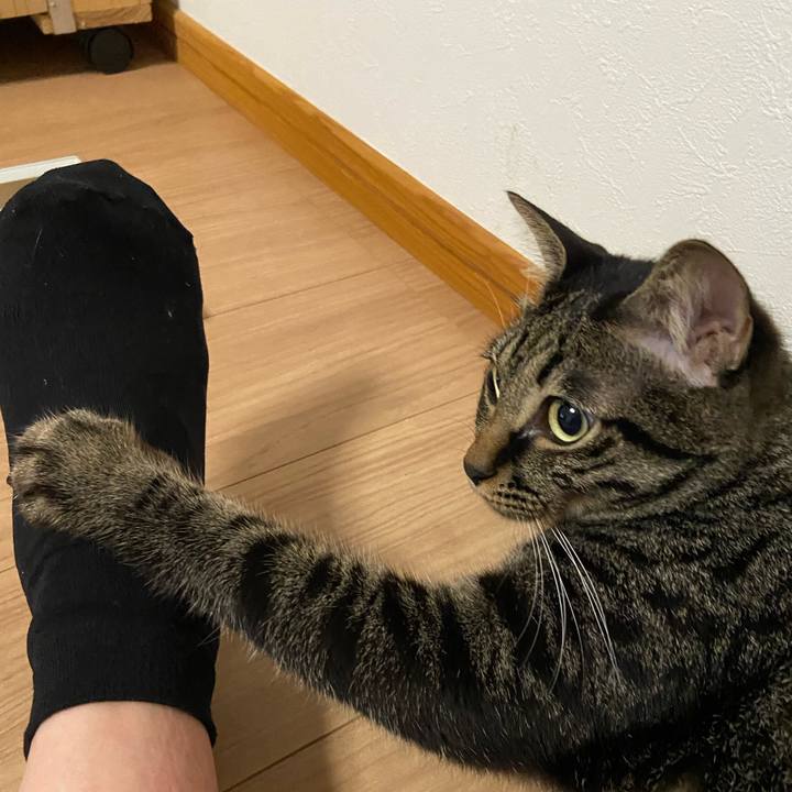 2dd3f7ac 3de3 4183 bcd2 0fc61670aa77 1660822338457