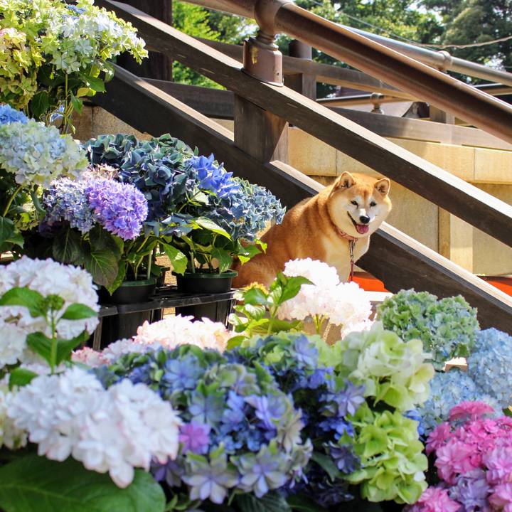 2dd4167f 2c3f 4487 9c1e 57982fd56f17 1623480375763