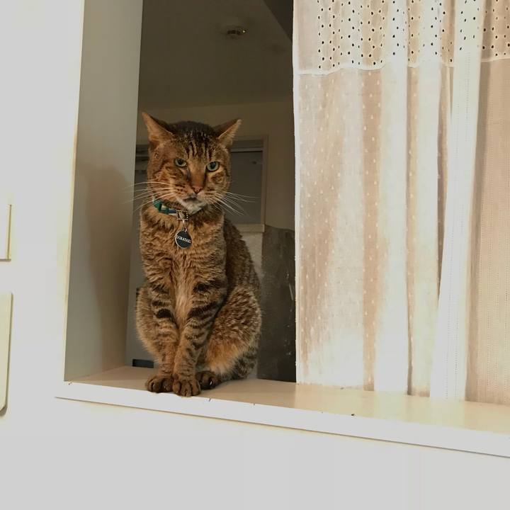 2dd42323 7a4d 4526 9a44 8b6f8912e7e1 1536154003964