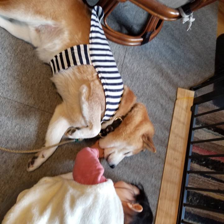 2dd44c66 e8c8 443f 8416 db1abaaa9ec7 1642290266278