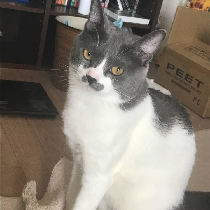 2dd44fe4 f7ad 44c7 99f8 5b41e49f9f49 1624502991625