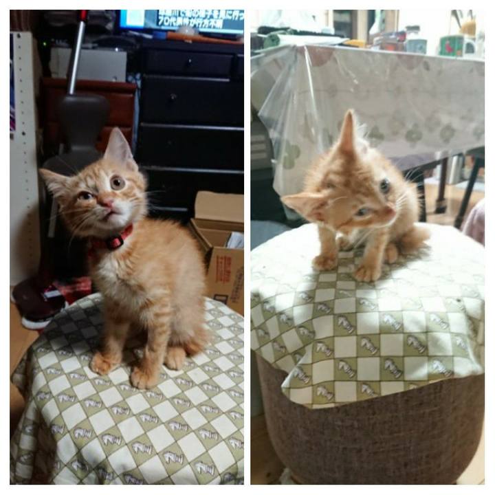 2dd481fb 025a 49f2 bfe5 5a96f3ceb1f8 1629012805254