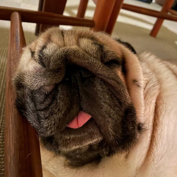 2dd4cacb a90a 46fe bfd0 2d34c0aaa994 1669357948135