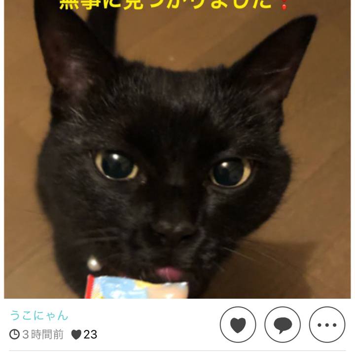 2dd4f46e 9cad 4c83 98e8 72852cb374bb 1664839781917