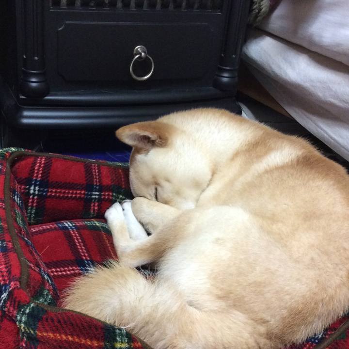 2dd50ae6 c851 4be5 9dab a67e572b27c3 1512563374901