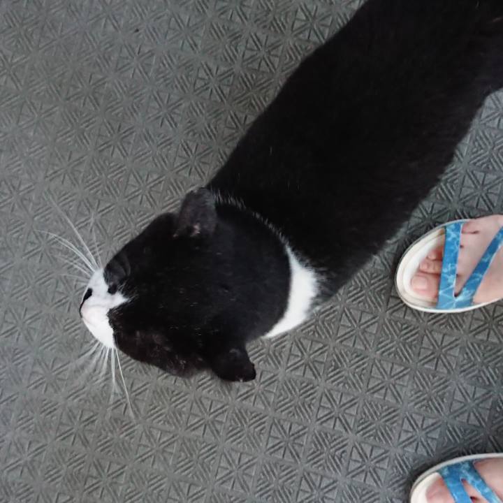 2dd51d34 4871 4d12 b1d3 9c77a0219ab7 1596918628160