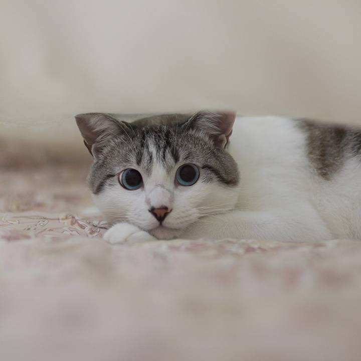 2dd53c76 21fb 4788 a497 e751b595ccda 1666481527304