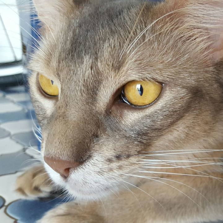 2dd54746 d929 4f07 8bd5 0d6fd2be21b3 1533995698652