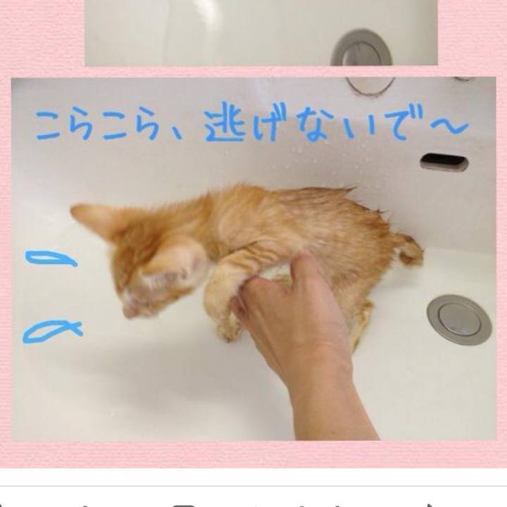 2dd55996 b48f 4c7e 837e 8f056db85328 1631335347695