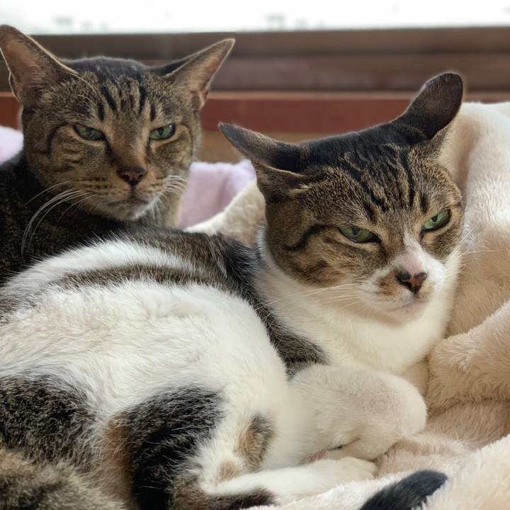 2dd559e4 f9c0 4e4f 814e f0bd2841b379 1573521390473