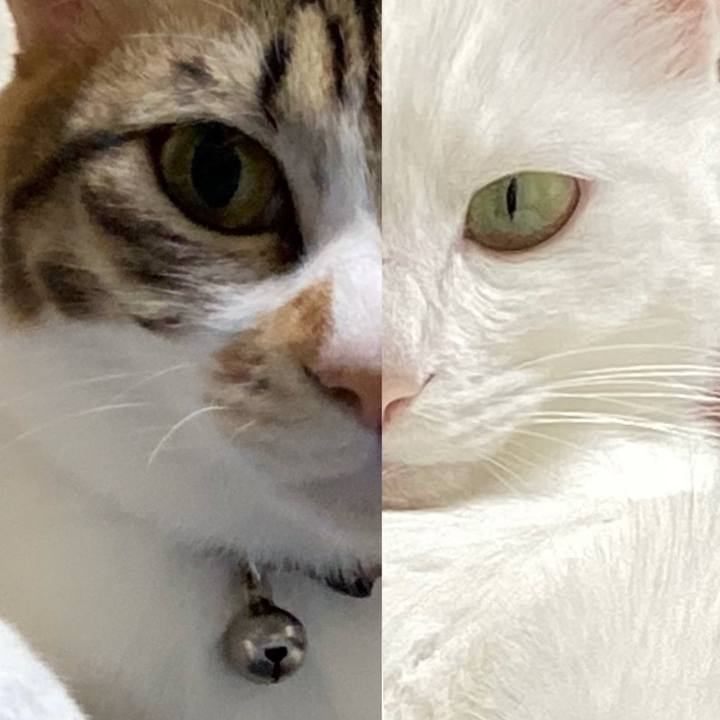 2dd56a52 2f07 4530 b12b 4d202ad2512d 1668217130416