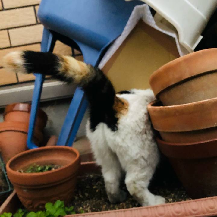 2dd5a75d 3350 48fb 8b6a 4f09b060578d 1608157201530