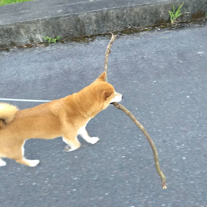 2dd5bc2f 29b2 4779 9d6c 8409954846ee 1535500680292