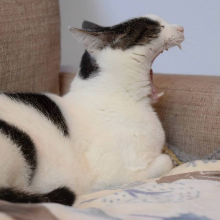 2dd5c310 1336 43d2 9d74 e232e1cf3a39 1736584716294