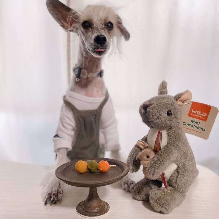 2dd5e81a e629 4db6 91eb 3b89e89ff5e1 1759739105931