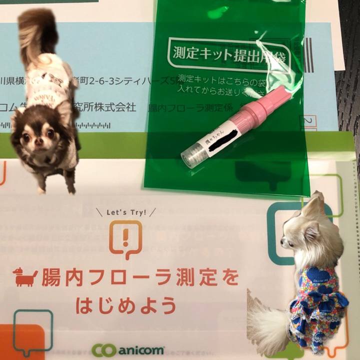 2dd5e921 f813 4ec1 a94b e0de284d759e 1607649374076