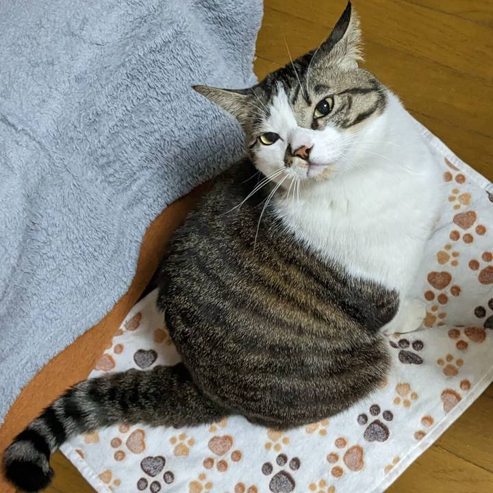 2dd5eee9 0a65 49bc bd16 8716a9abcf48 1675636210149