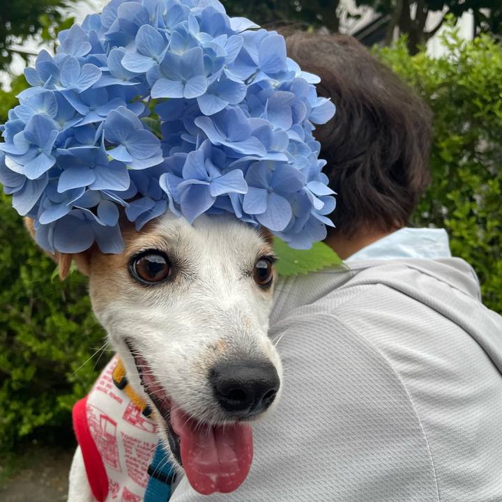 2dd5f521 5cf3 4c04 b9d4 faca6650ce8d 1654421902462