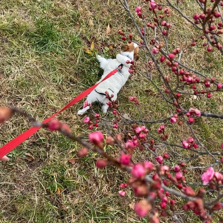 2dd60f30 7595 46e1 a495 f5f1366939e7 1740380550491