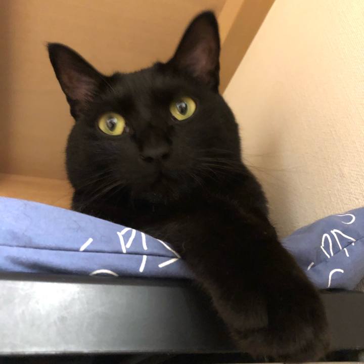 2dd6336c 36b0 441f b1ee fb712a4b9448 1567254611847