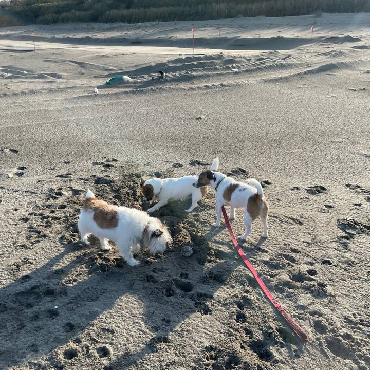 2dd634b8 97ad 44fa ba05 35feaf8cf5ed 1698970058153