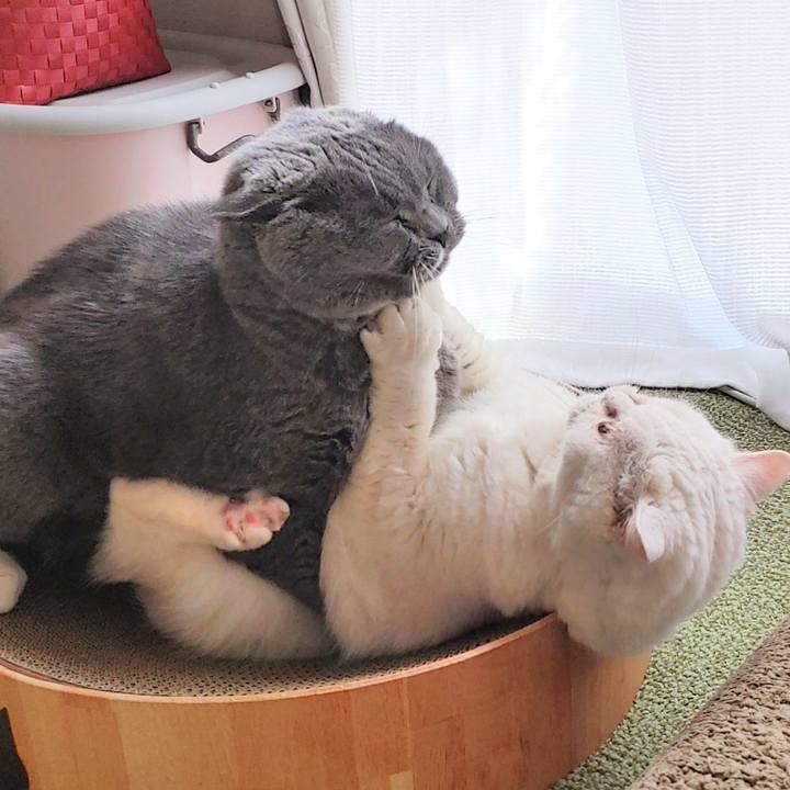 2dd64f4e 4d9d 41f9 bbdf 3e8c53fba58a 1702176345161