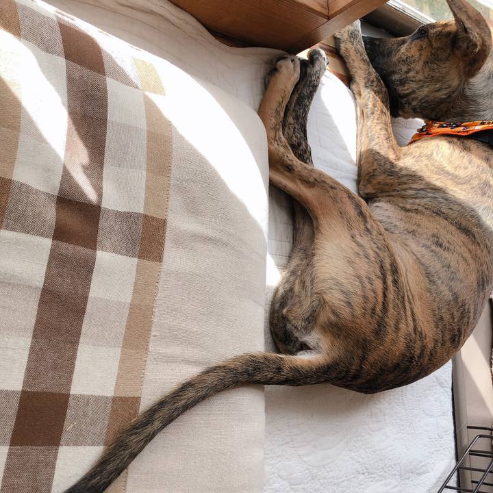 2dd65244 5eeb 4104 8816 a3c4712b014b 1572343892099