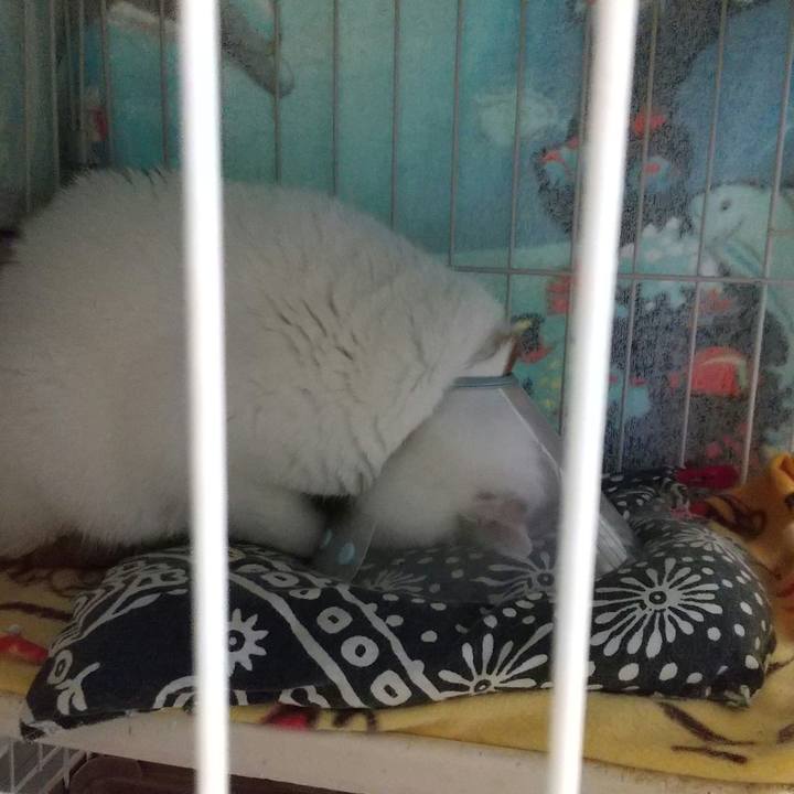 2dd65eb1 091d 47eb a897 7040518287f1 1678838657649