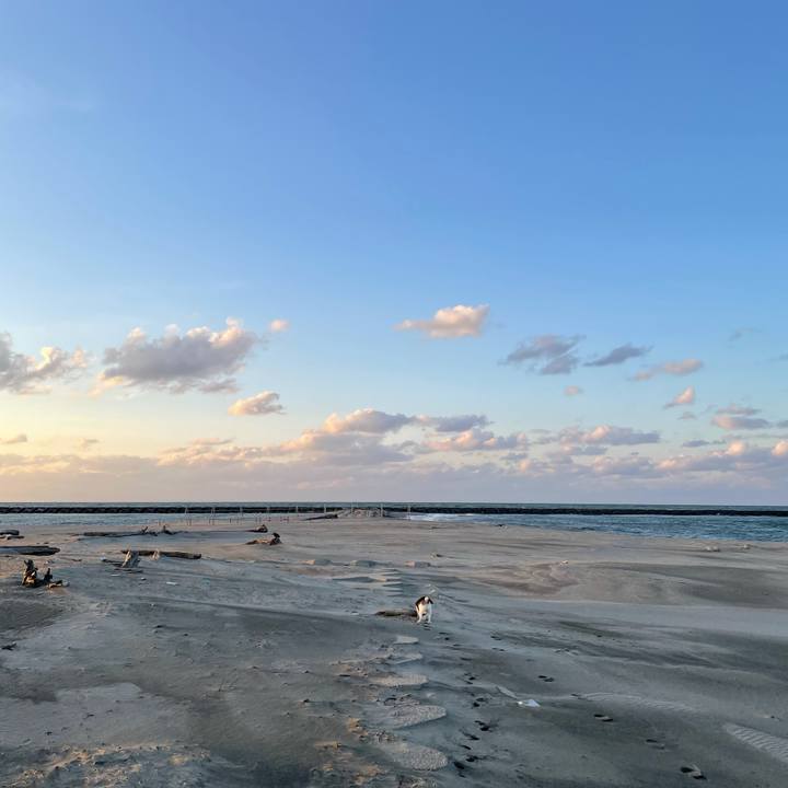 2dd67820 3e53 4a42 9902 274a1b8f51ac 1613031773802