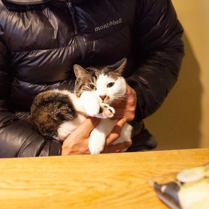 2dd6854a 7e0d 4890 865d 15a9d20b7609 1576556212489