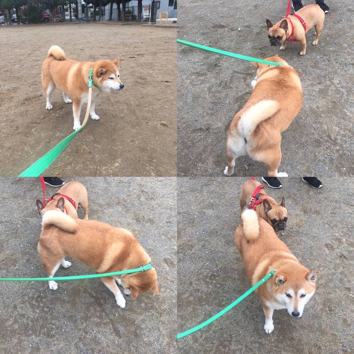 2dd68b5e 2d5e 49b2 8898 b80f5fb836b4 1645234307323