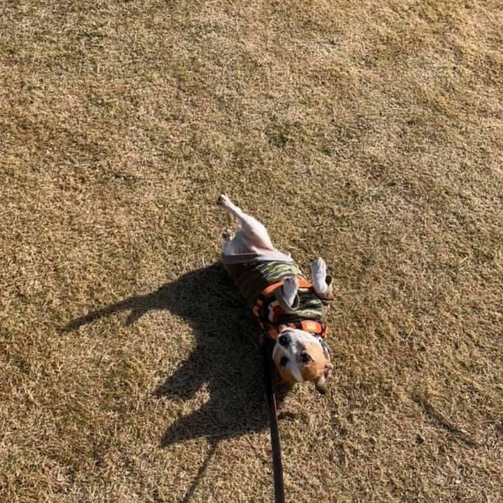 2dd6c488 f98a 4417 8dfa a76be73a3c59 1673831349584