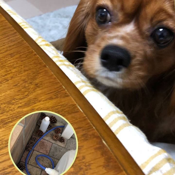 2dd70477 6f73 4512 add2 de601b59111f 1551910935073