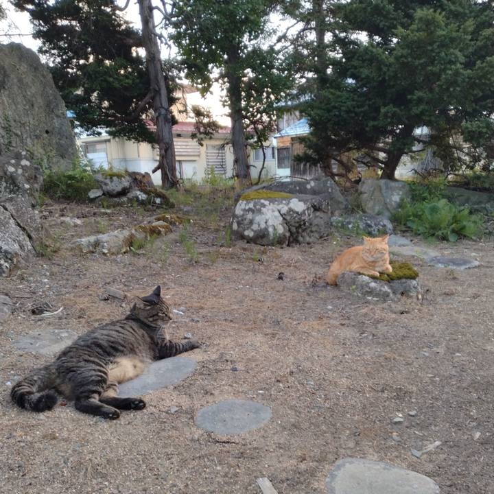 2dd7279a f51f 464b 9b4a a67f127a08b2 1692524017287