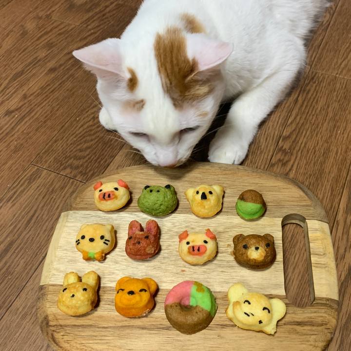 2dd7ccf2 e6c3 41cf 8d2c 051322c09b8f 1645016652586