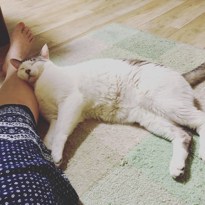 2dd7ec16 9594 47cd be44 80ae53f3d272 1590750181559