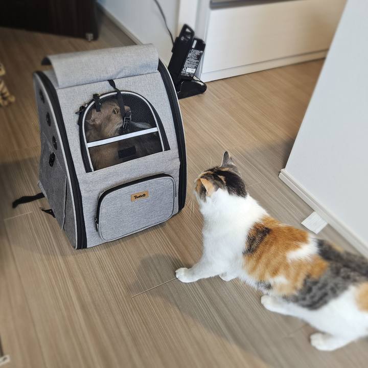 2dd82cf5 e8a0 42ee 8dcf 630de16f15e9 1765355847627