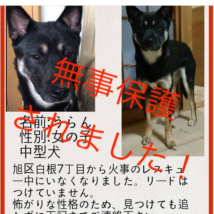 2dd82e98 3989 4e8d aad7 784f76d7fb7c 1550186087213