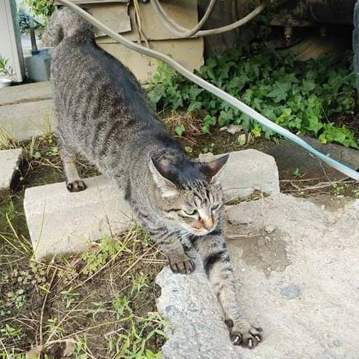 2dd867cc 5de4 4f86 bb41 4886826b9834 1635230623583