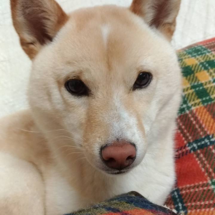 2dd88ee9 34df 4ad8 850f 483922030625 1525829842394