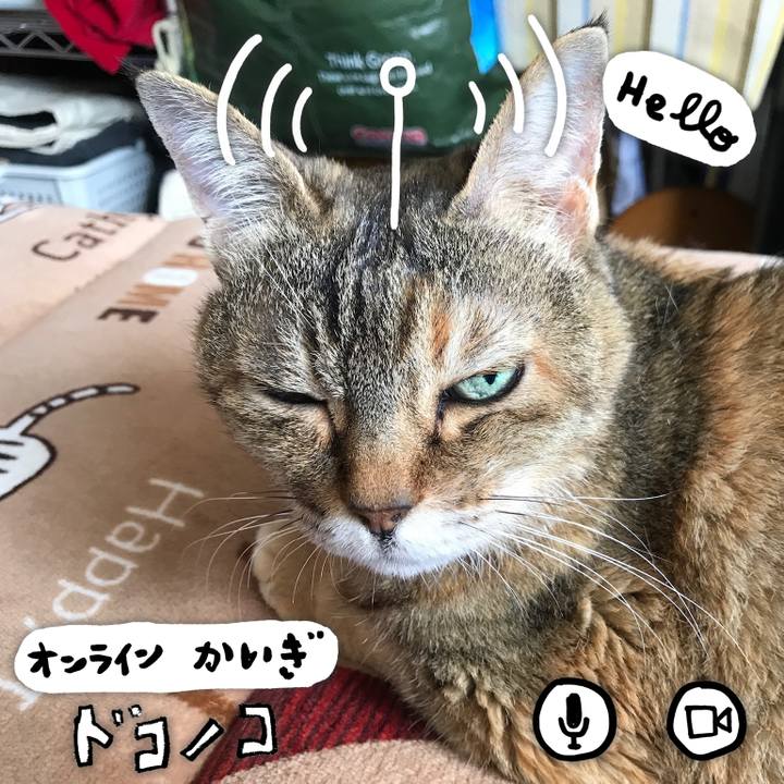 2dd89833 fa03 4600 b205 427b4f8e5e96 1590758245872