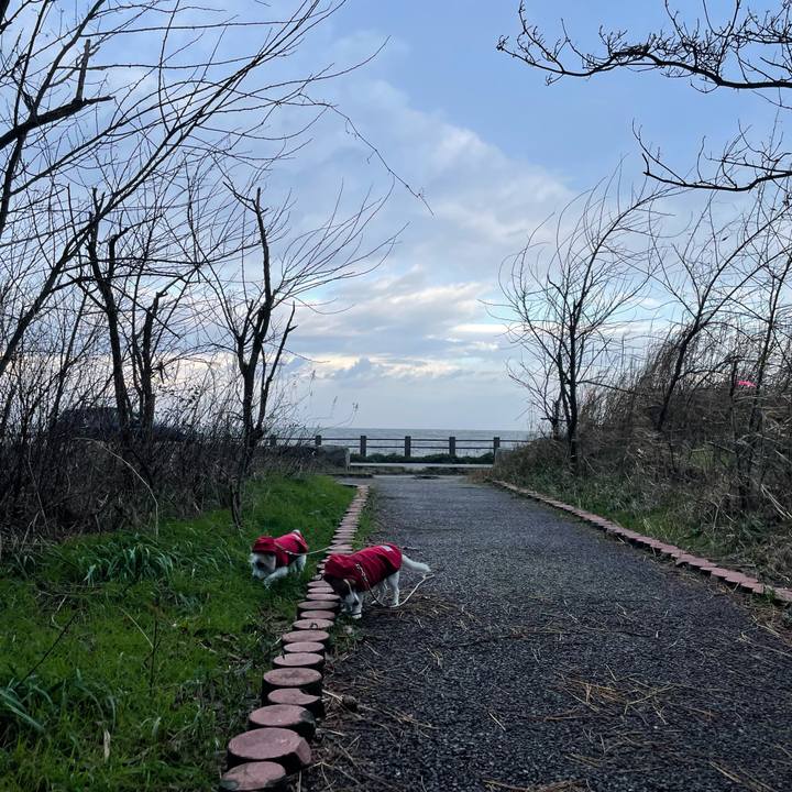 2dd89c30 599a 4119 be1d 67391e223b58 1637796606189