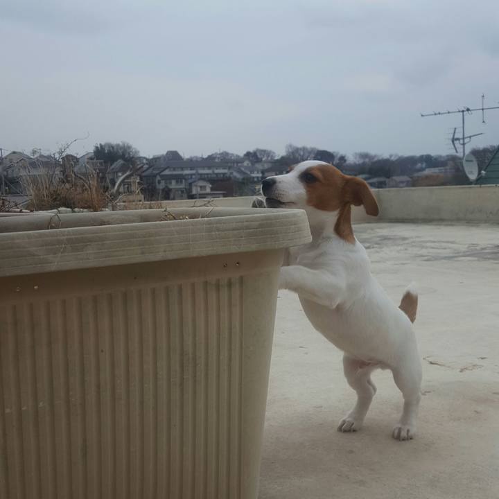 2dd8a8f8 ff54 4988 81ef 3ce2a6a910ed 1551144070786