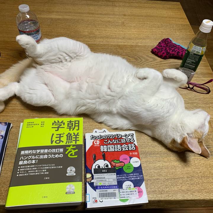 2dd8cef2 2f87 4aa7 8084 740b3482d549 1594589873771