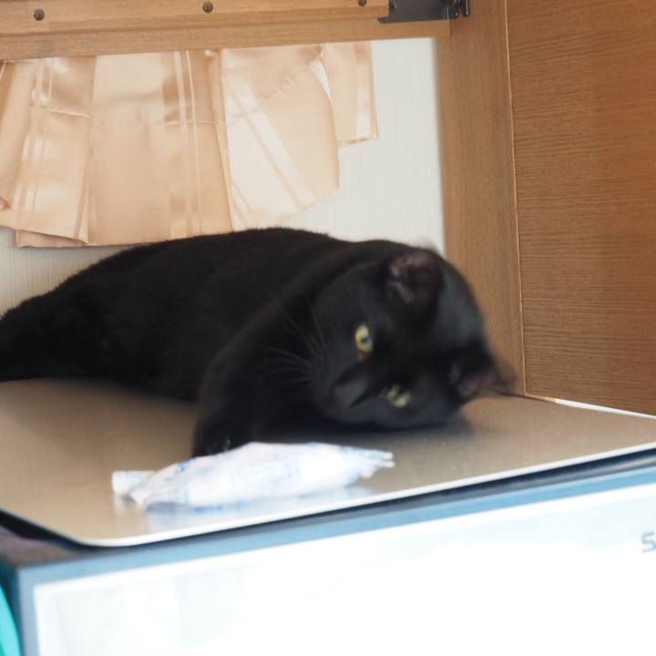 2dd8ef06 2b8b 4f7b 97b9 f54315c7dfe3 1532183254515